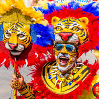 Barranquilla Carnival tiger mask