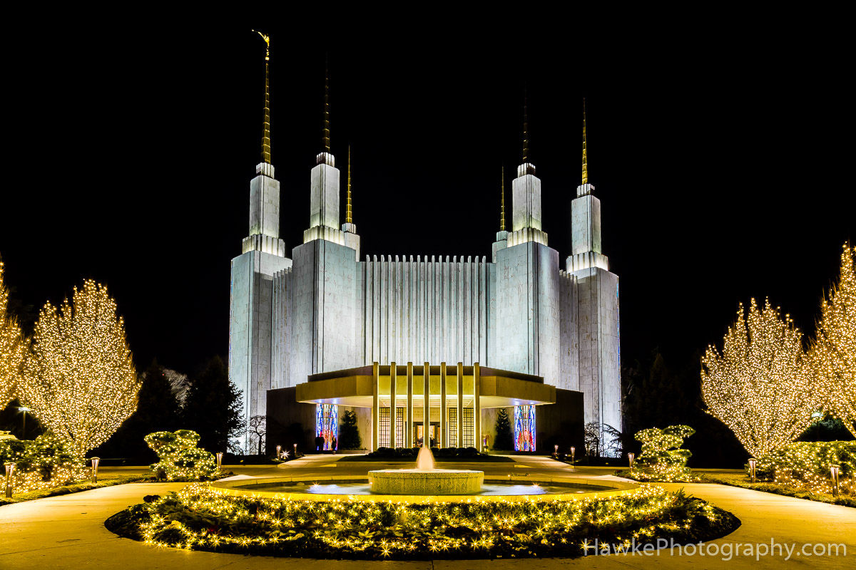 Festival of Lights 2016 Hawke Photography